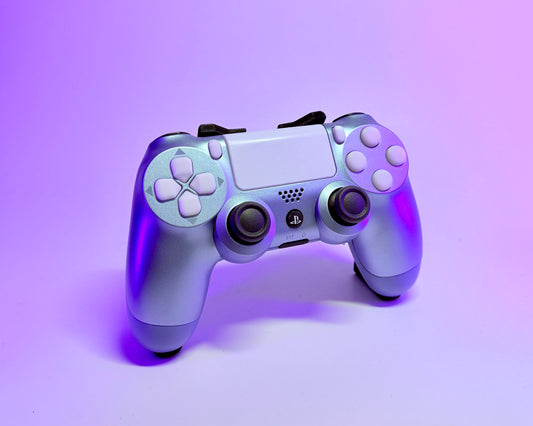Custom PS4 Controller