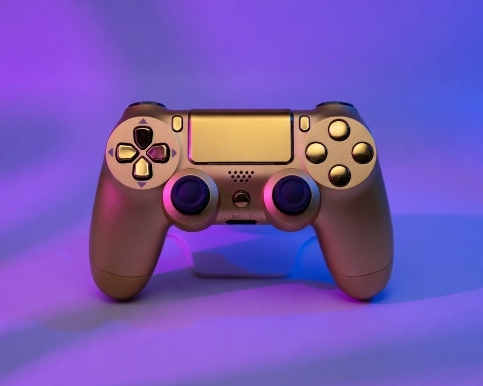 Custom PS4 Controller