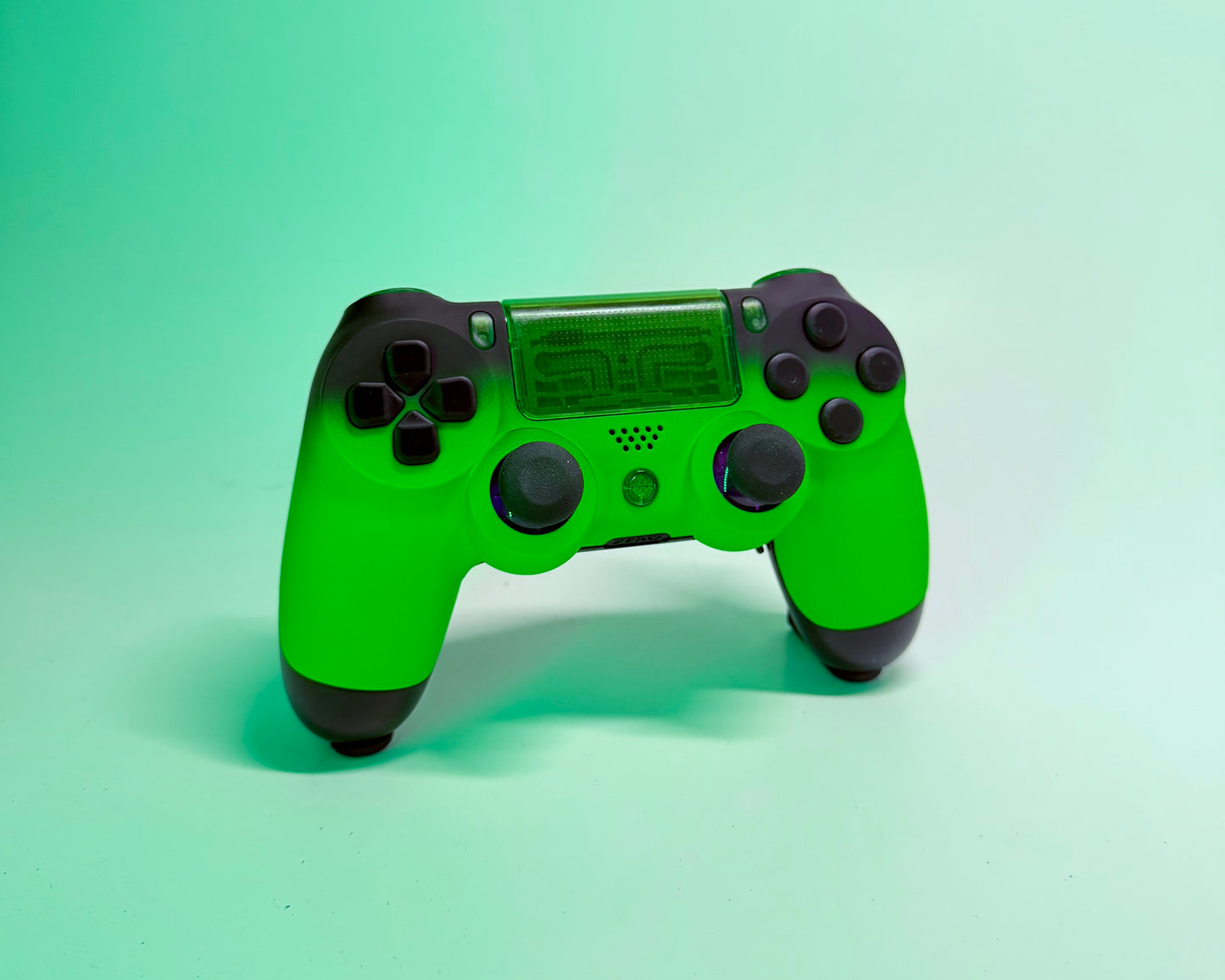 Custom PS4 Controller