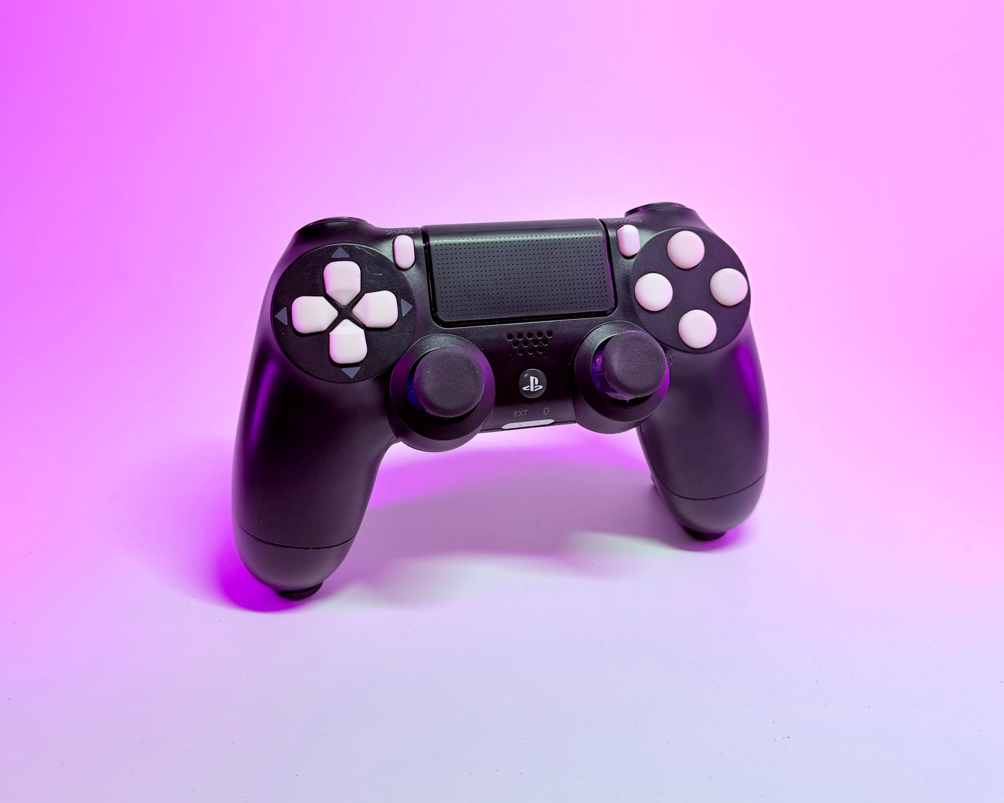 Custom PS4 Controller