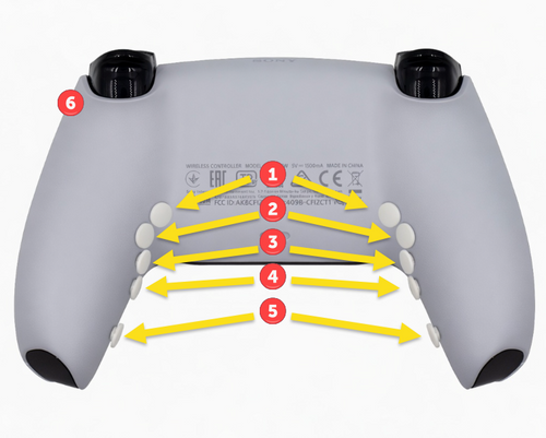 Custom PS5 Controller