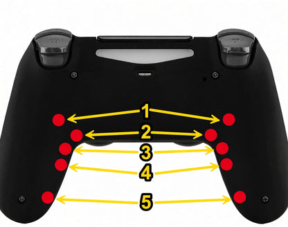 Custom PS4 Controller